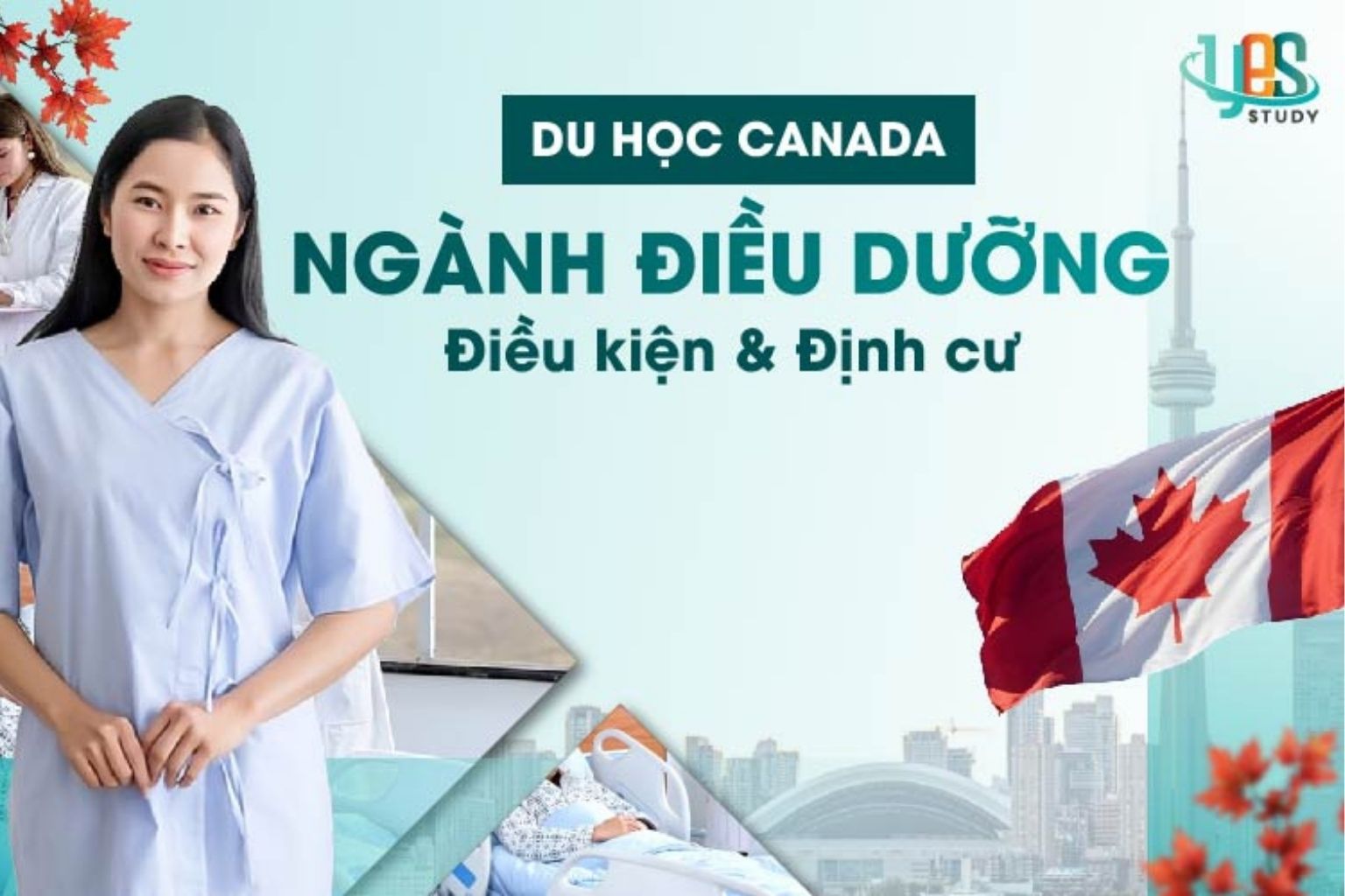Du học ngành điều dưỡng tại Canada, điều kiện và chi phí