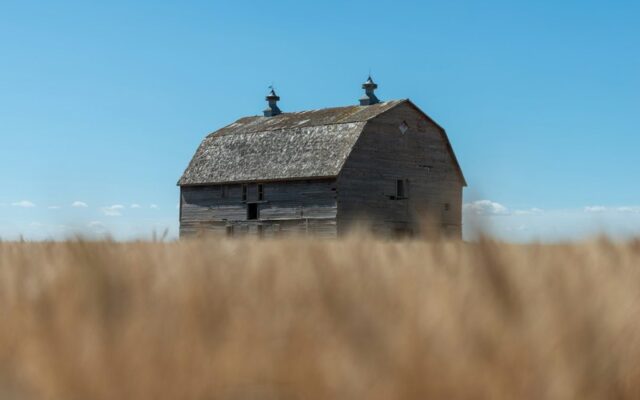 Cánh đồng nông nghiệp trù phú và thiên nhiên rộng lớn tại Saskatchewan