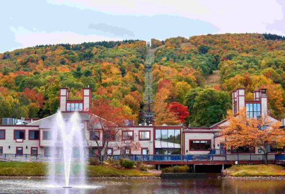 Tại sao nên chọn Đại học York University?