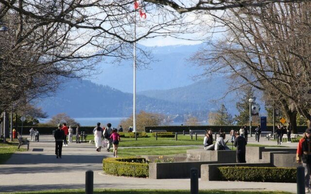Chính sách chọn ngành du học Canada