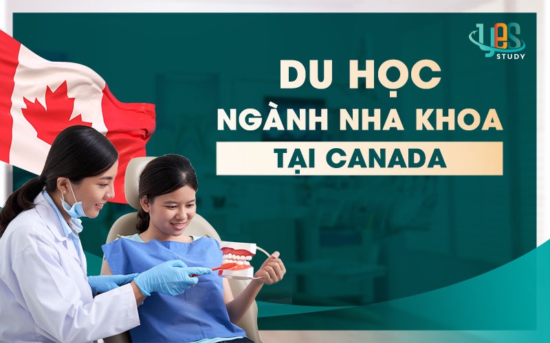 Du học ngành Nha khoa tại Canada
