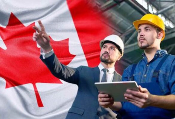 Nhóm ngành nào có cơ hội định cư cao tại Canada?