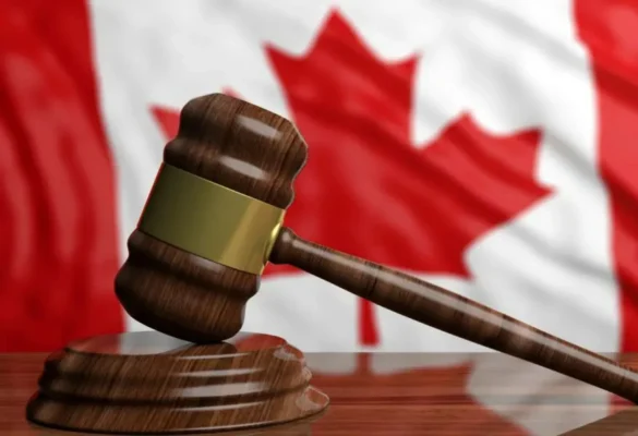 Tổng quan về ngành luật tại Canada
