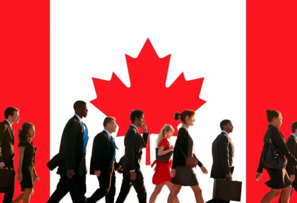 Top 9 ngành học tiềm năng tại Canada năm 2025