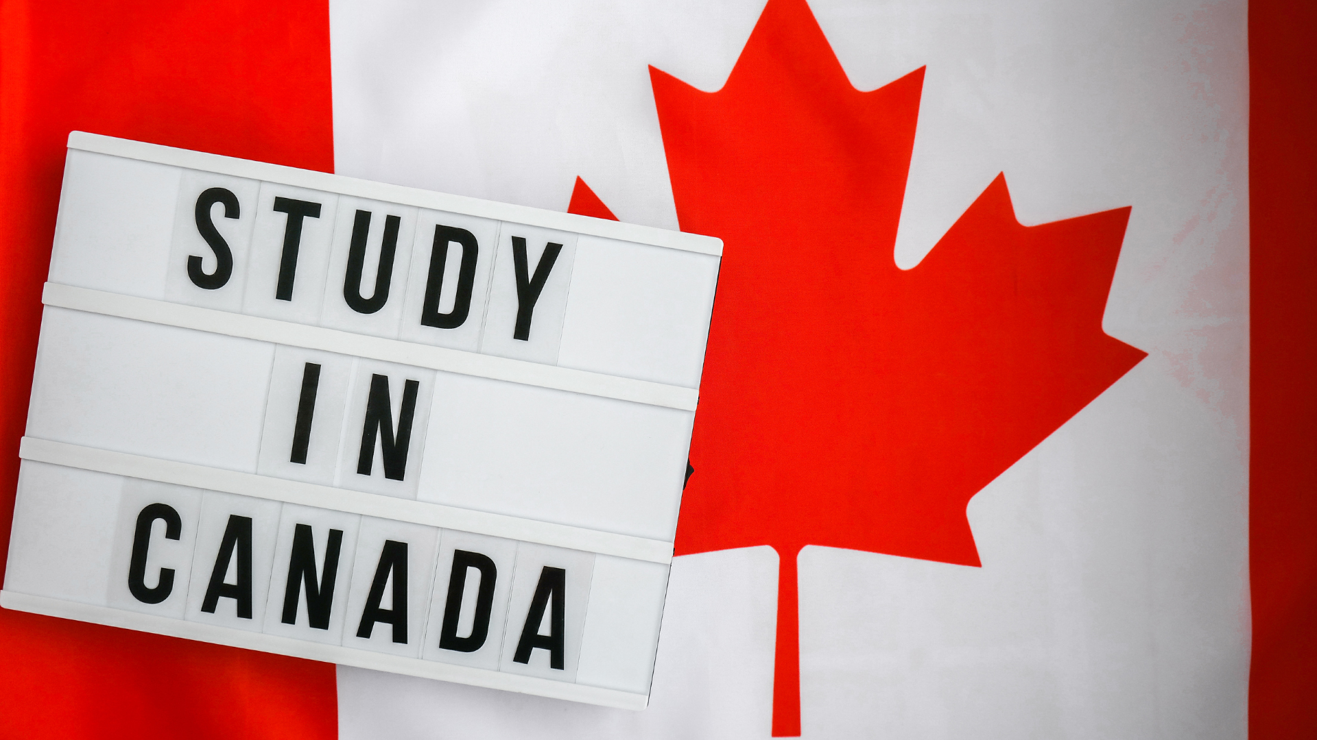 Du học Canada 2024: Tư vấn hồ sơ, điều kiện, chi phí, ngành học