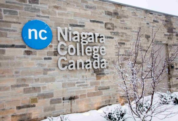 Chương trình đào tạo tại Niagara College