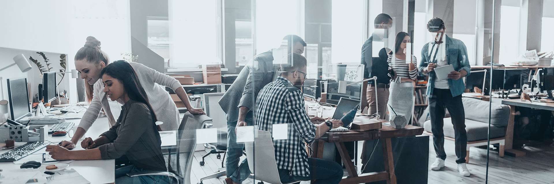 Business-Information-Technology-Seneca-Polytechnic-2