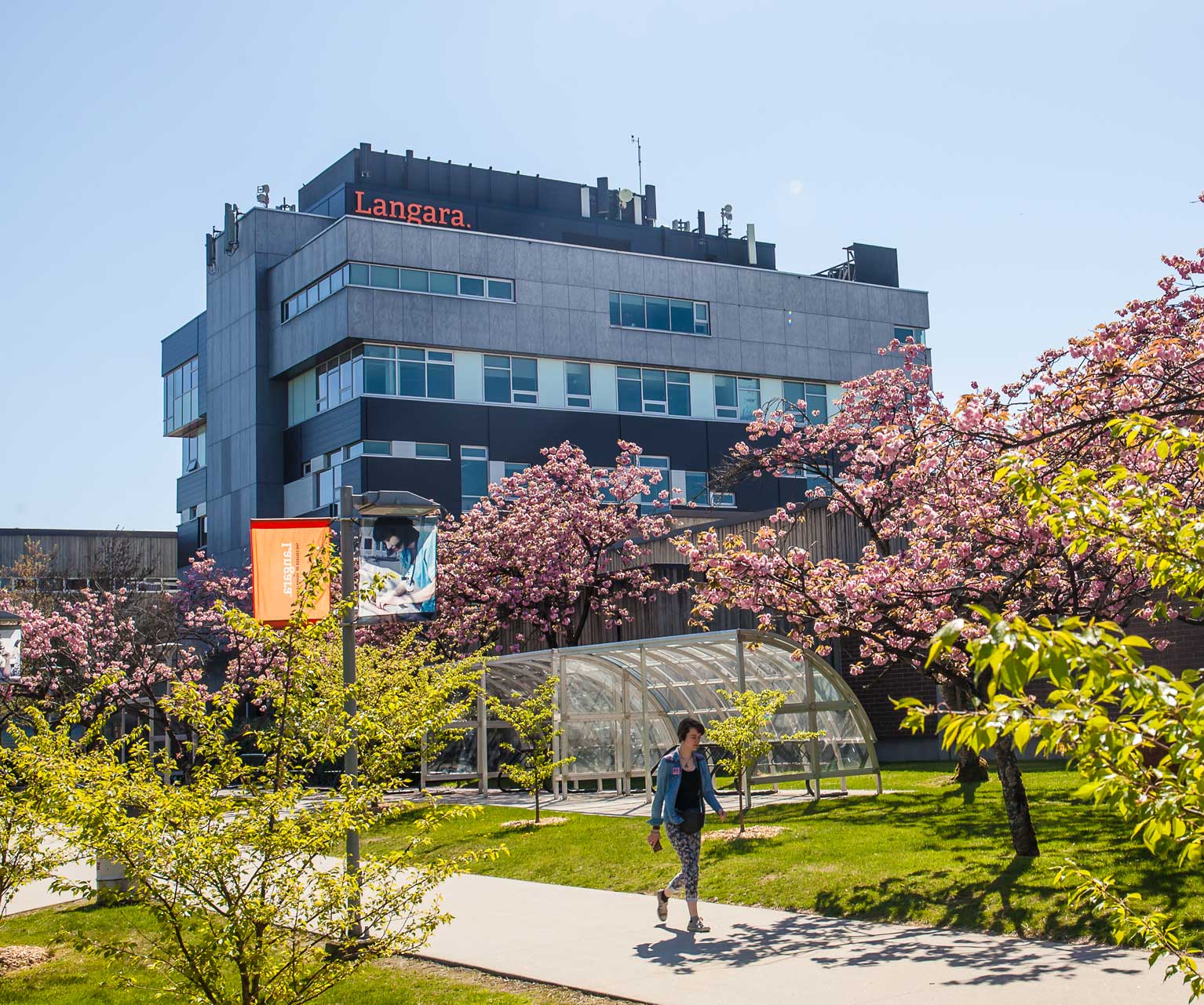 DANH SÁCH NGÀNH HỌC CỦA LANGARA COLLEGE ĐỦ ĐIỀU KIỆN XIN PGWP