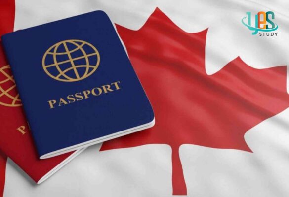 Tổng quan các điều kiện du học tại Canada