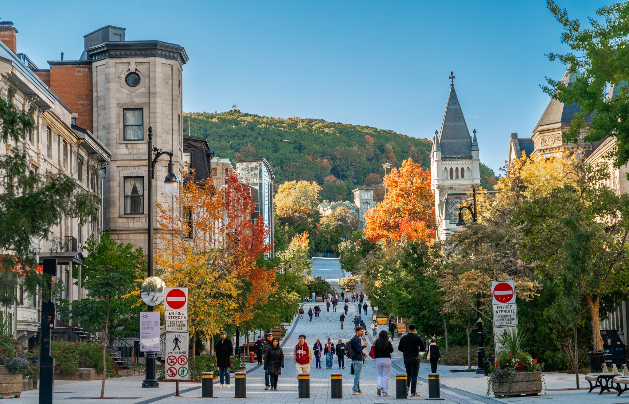 MCGILL UNIVERSITY