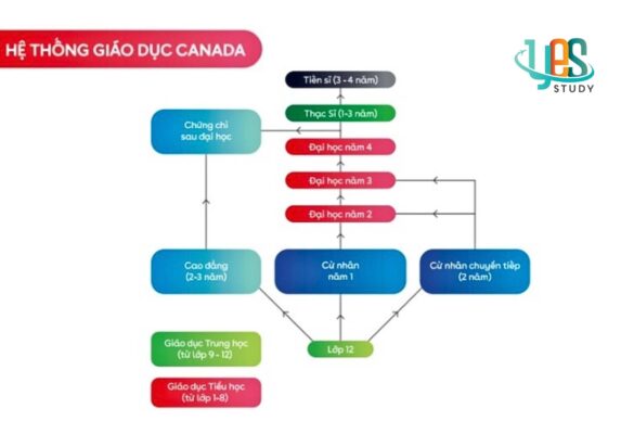 Tổng quan về hệ thống giáo dục tại Canada