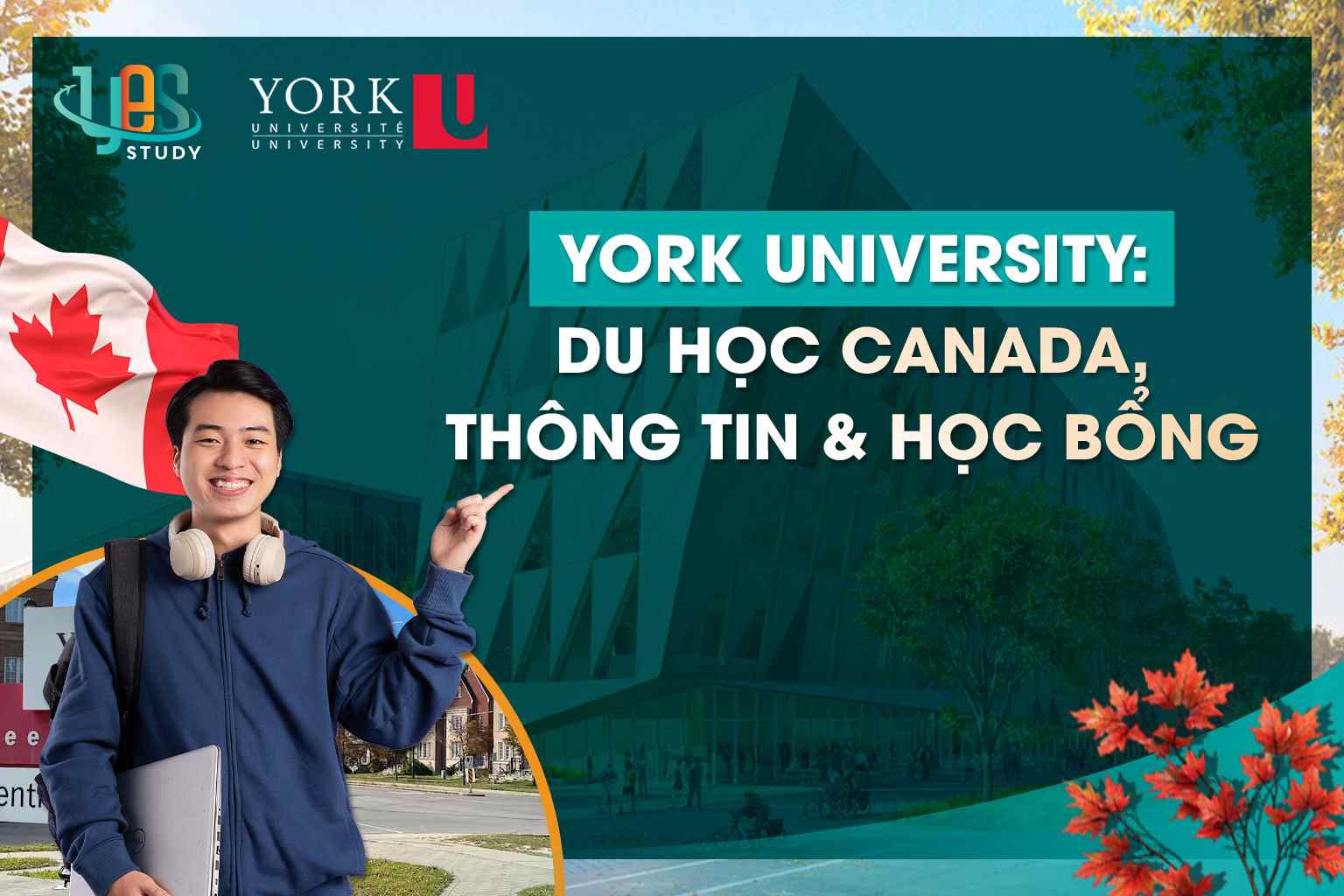 York University