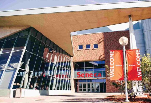 Chương trình đào tạo tại Seneca Polytechnic