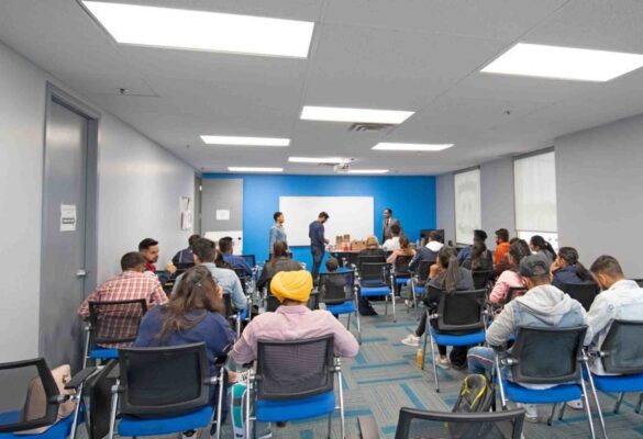 Pacific Link College cung cấp các chương trình đào tạo đa dạng