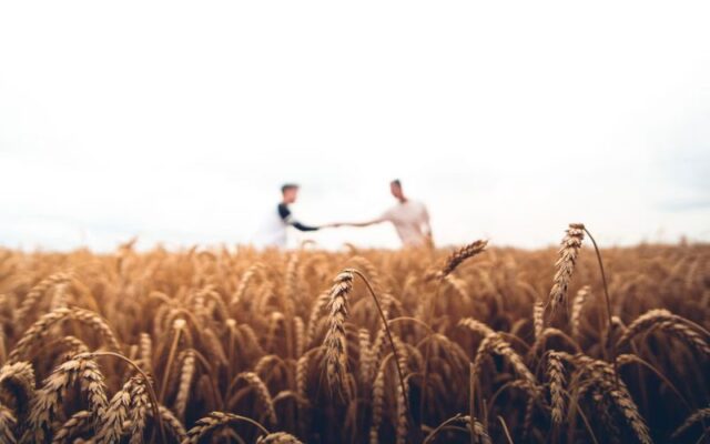 Các công việc phổ biến khi làm farm ở Canada