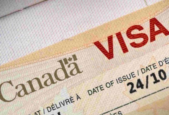 Lộ trình du học cấp 2 Canada chi tiết 2025