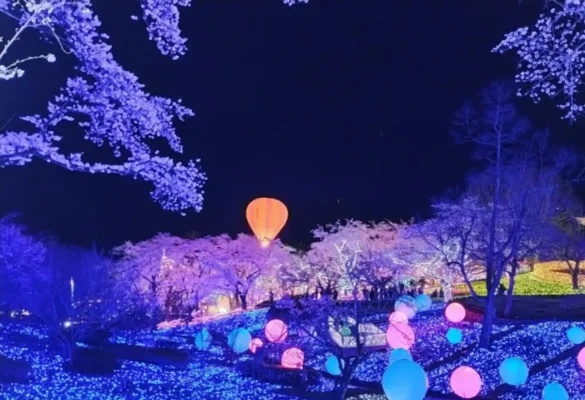 Lễ hội Ánh sáng Mùa đông (Winterlude), Ottawa