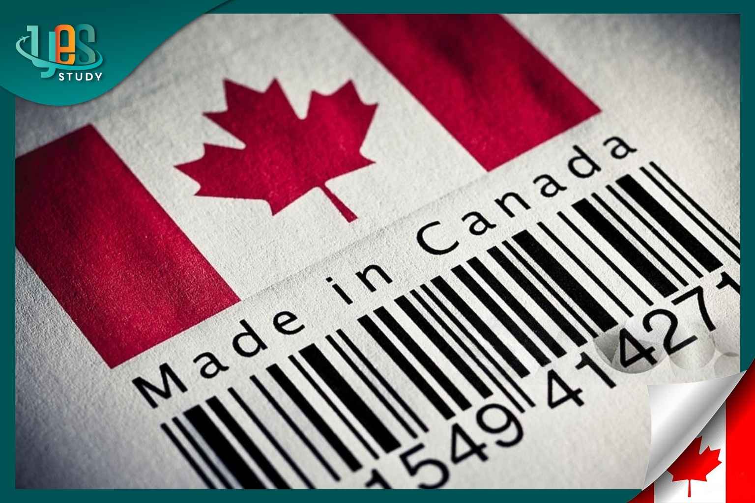 Mã vạch Canada là bao nhiêu? Hướng dẫn 3 cách check mã vạch Canada