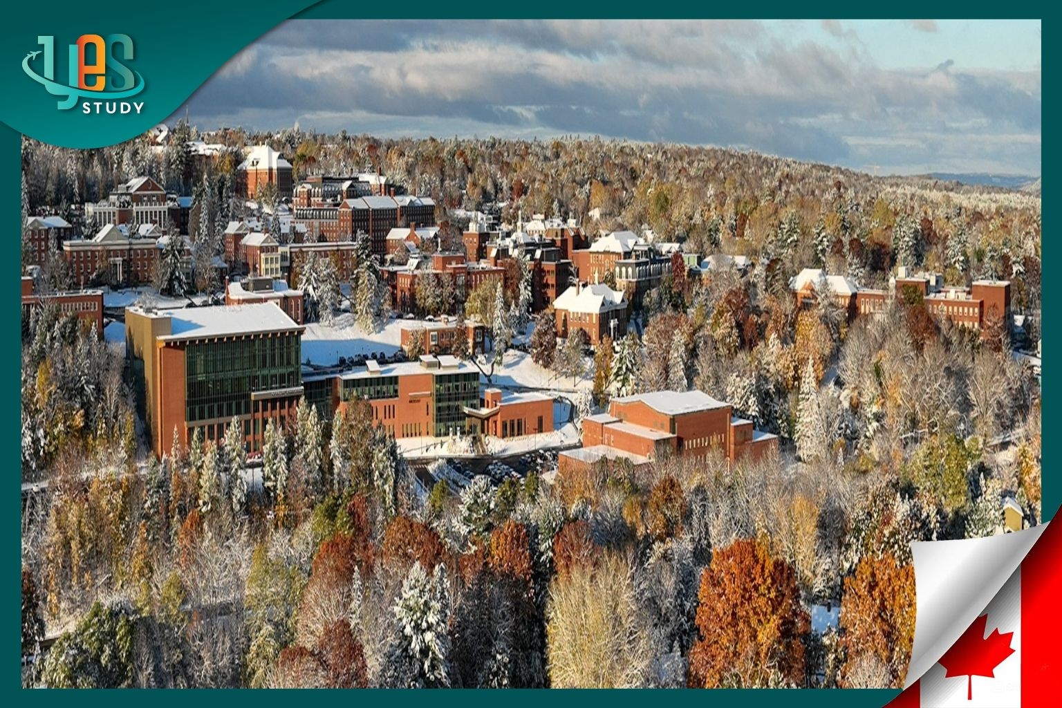 Universities with Low Tuition Fees in Canada