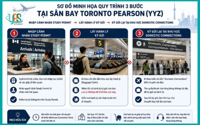 Quy trình nhận Study Permit và đổi chặng nội địa tại sân bay Canada đầu tiên