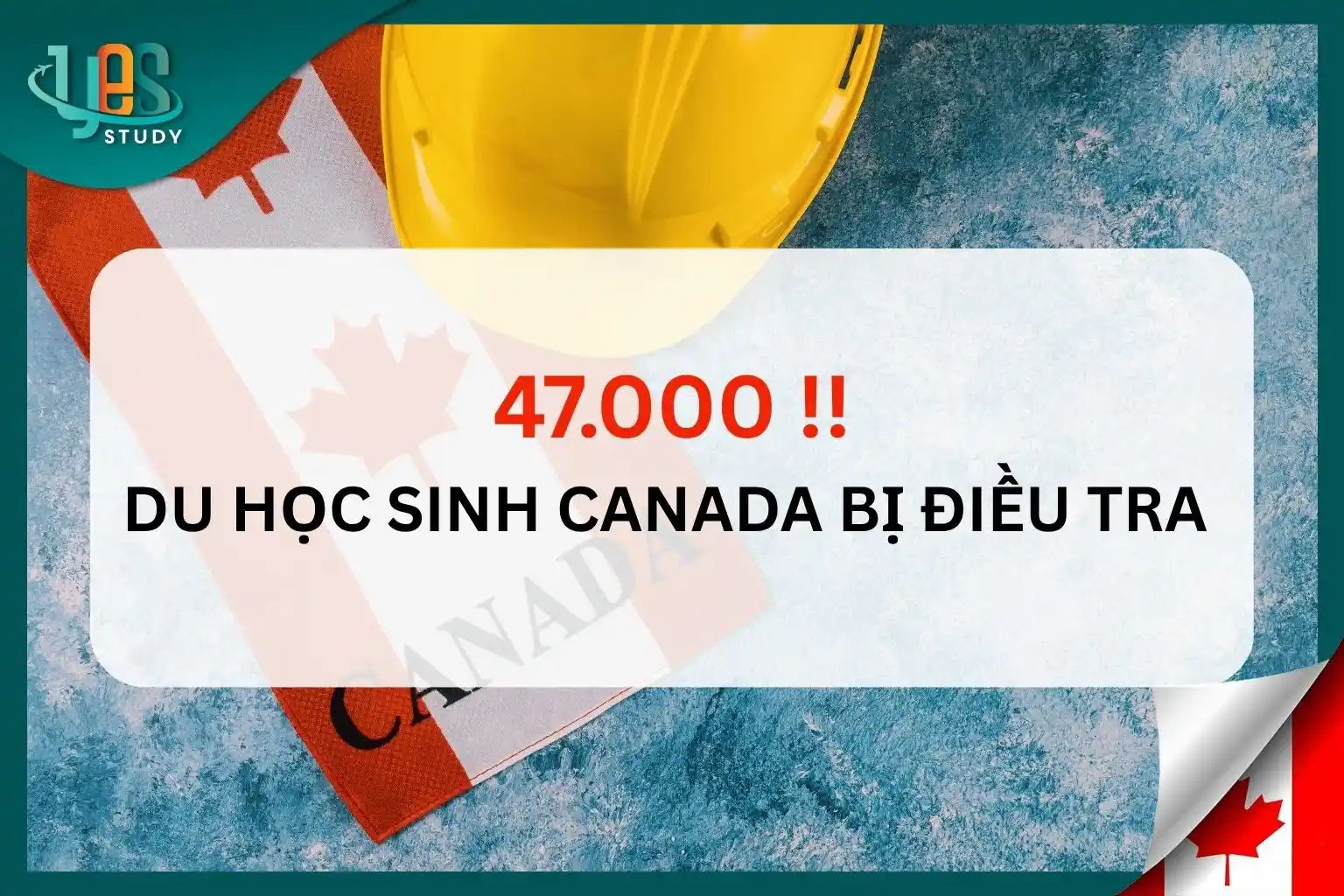 Du học sinh Canada bị điều tra vi phạm visa