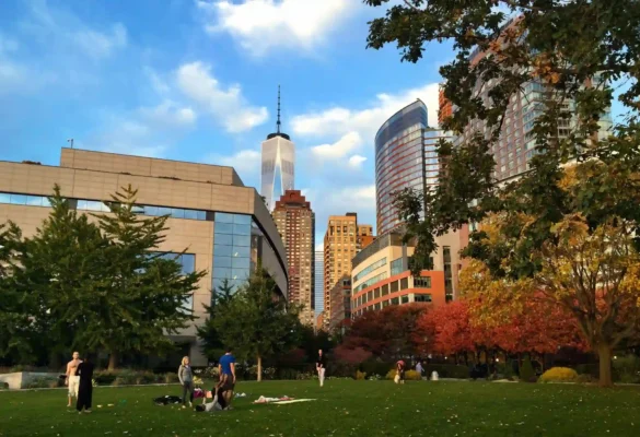 Các trường đại học hàng đầu tại Toronto