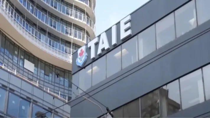 TAIE International Institute