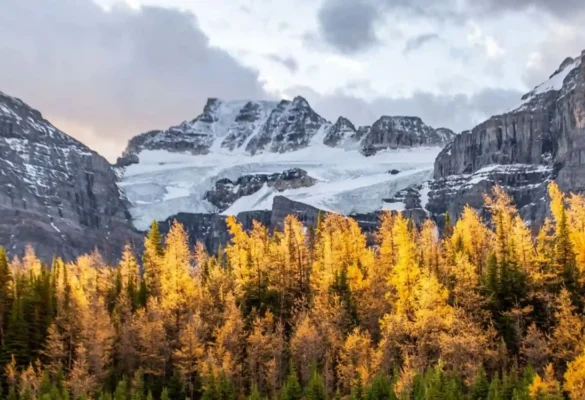 Mùa thu Canada tại Công viên Quốc gia Banff, Alberta