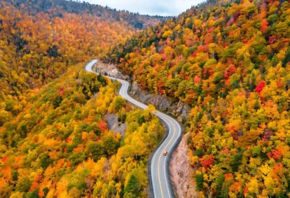Mùa thu Canada tại Đường mòn Cabot, Đảo Cape Breton, Nova Scotia