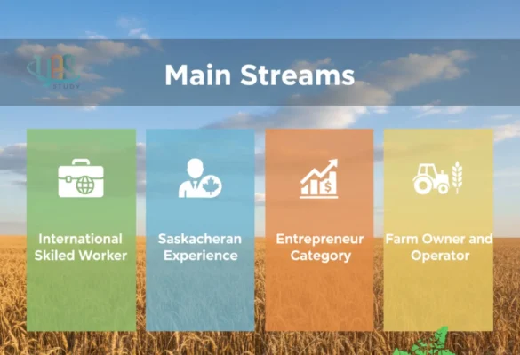 Các diện chính của chương trình SINP