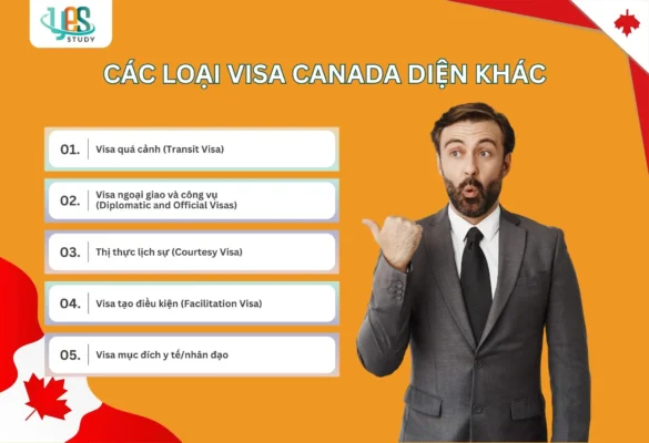 Các diện visa Canada khác