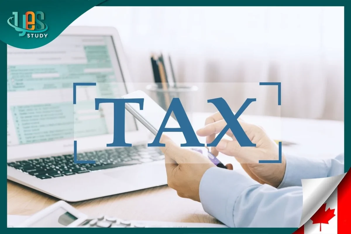 Hướng dẫn cách khai thuế ở Canada