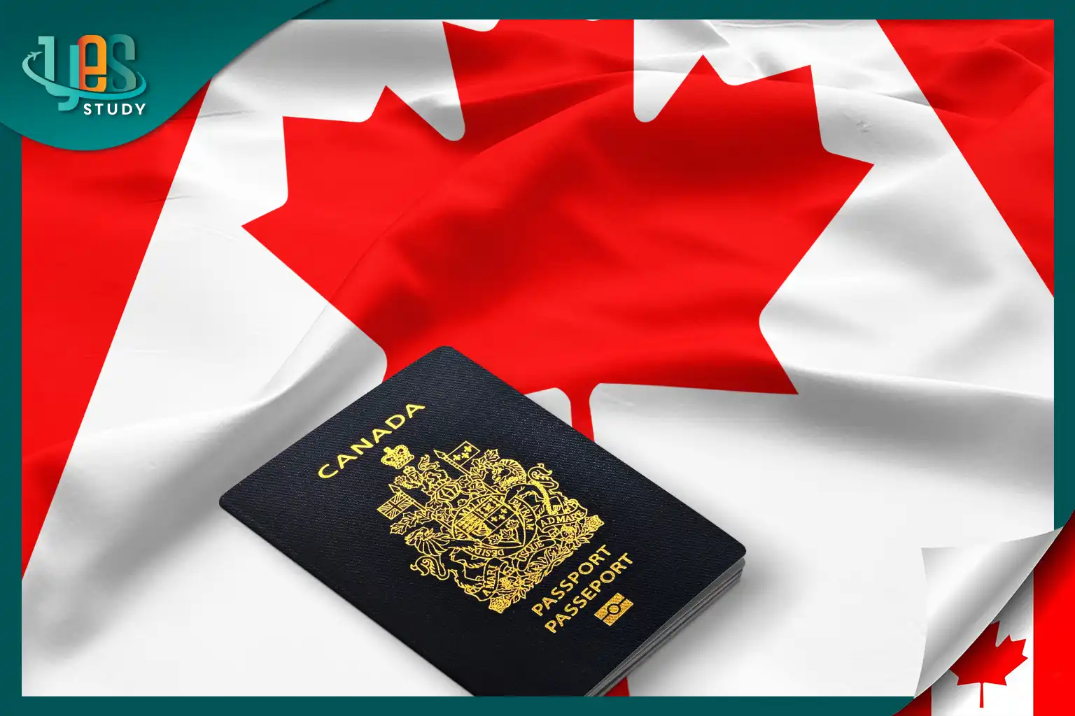 Cách Kiểm Tra Đậu Visa Canada