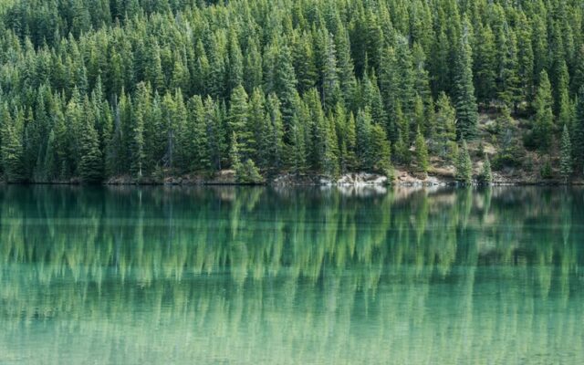 Tài nguyên thiên nhiên dồi dào đóng góp vai trò lớn cho kinh tế Canada