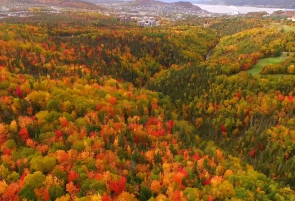 Mùa thu Canada tại Công viên Quốc gia Gros Morne, Newfoundland