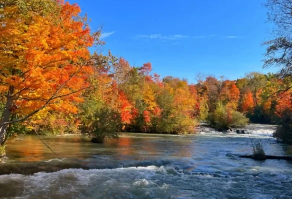 Mùa thu Canada tại Khu vực Niagara, Ontario