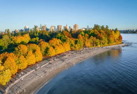 Mùa thu Canada tại Công viên Stanley, Vancouver, British Columbia