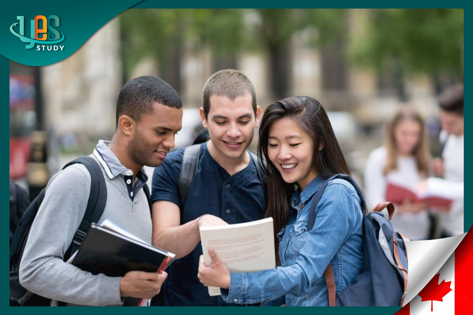 Short-term English language study in Canada