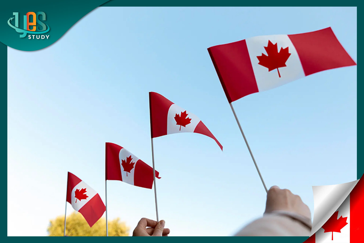 Should you go to Canada? A realistic perspective in 2025