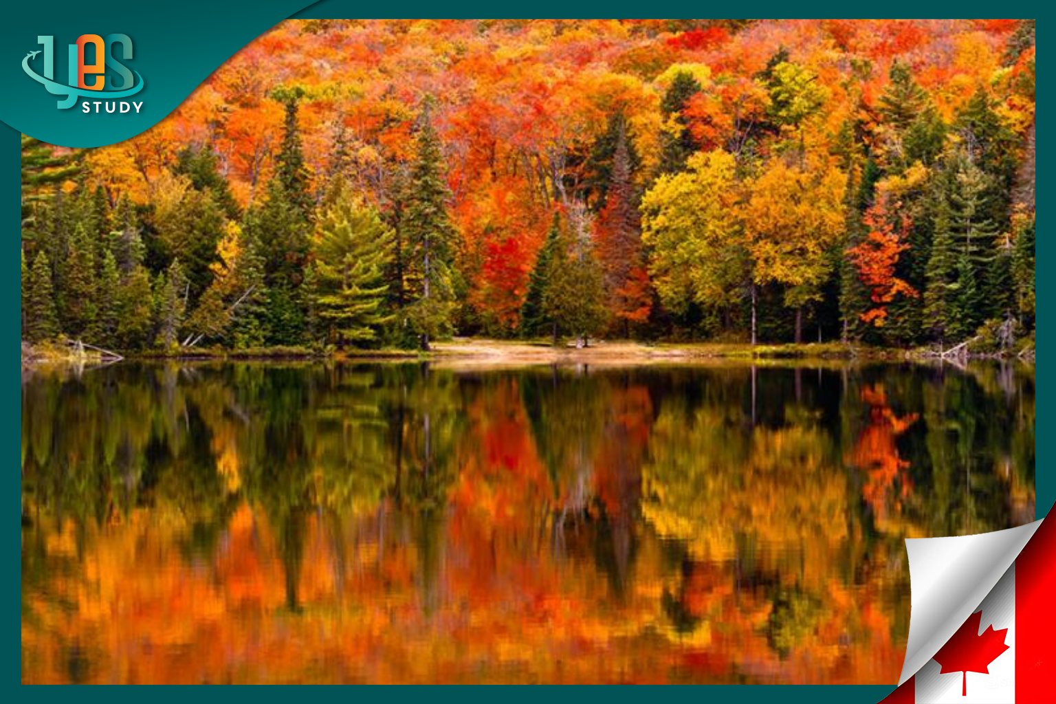 A stunning picture of autumn in Canada