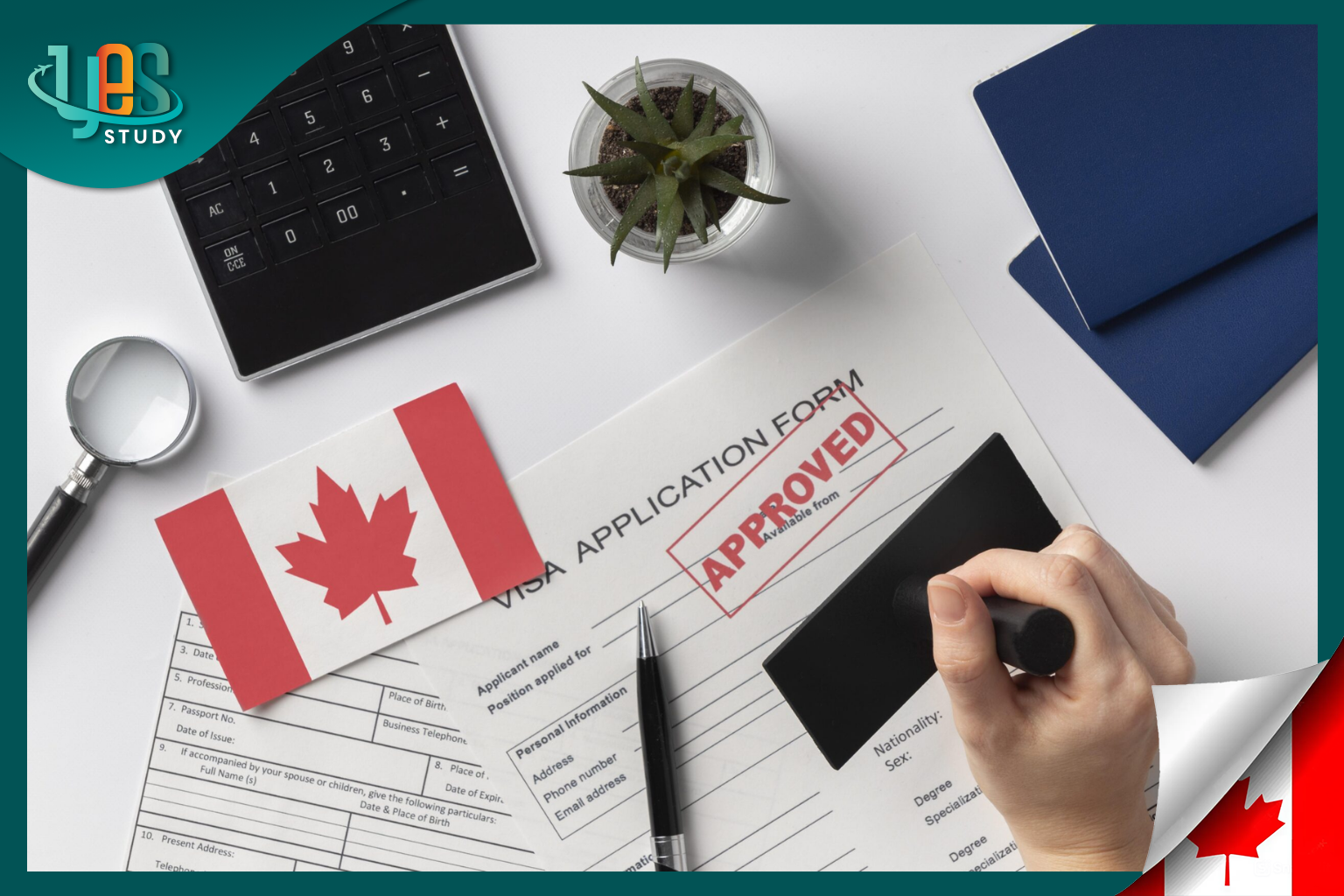 How to check your Canadian visa status