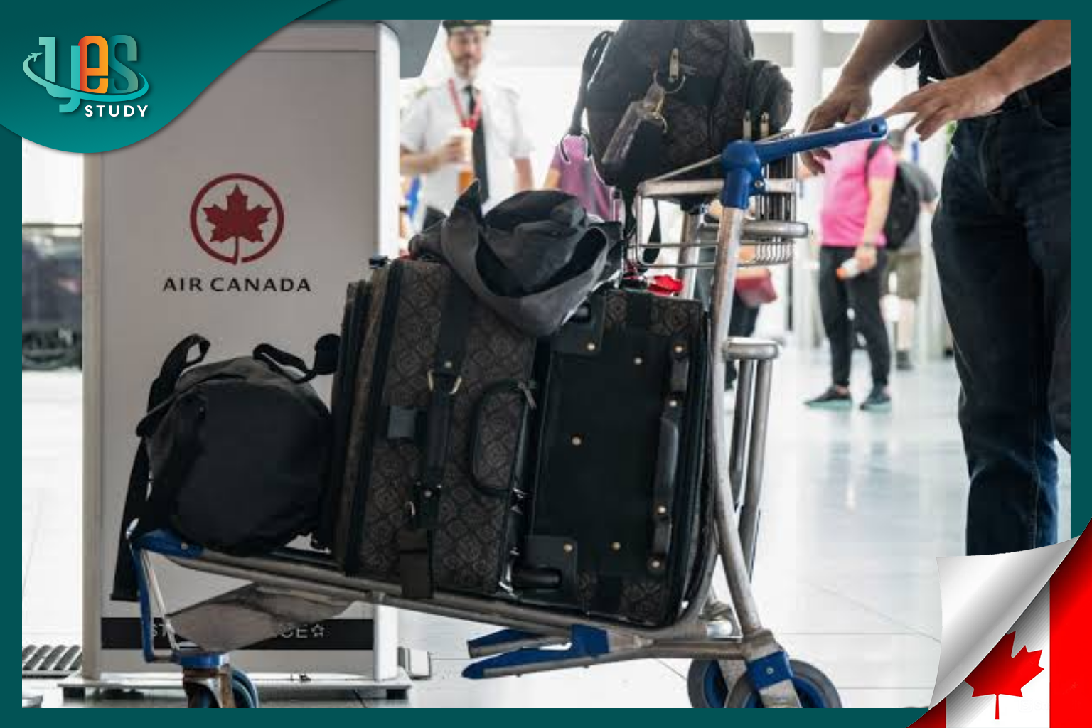 List of items not allowed to bring into Canada 2026