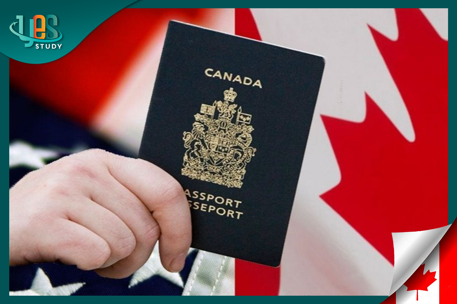 Summary of Canadian visa types