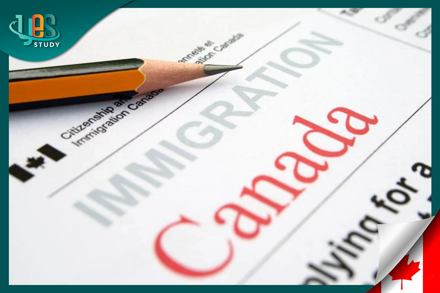 What is IRCC? Information about Immigration, Refugees and Citizenship Canada