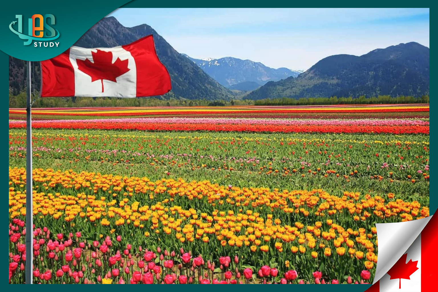 Agriculture in Canada