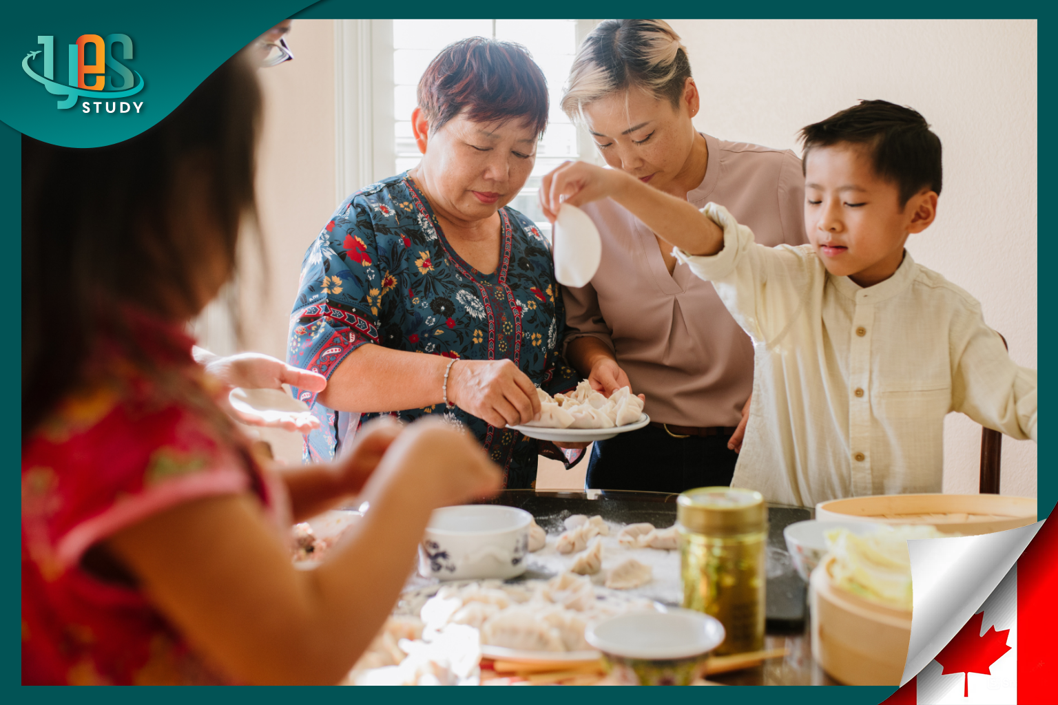 Guide to Applying for a Canadian visitor visa (family/friend visit) 2026